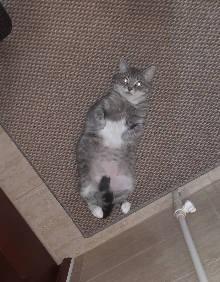 ����� �� ���� ���� ������ ���������� ����