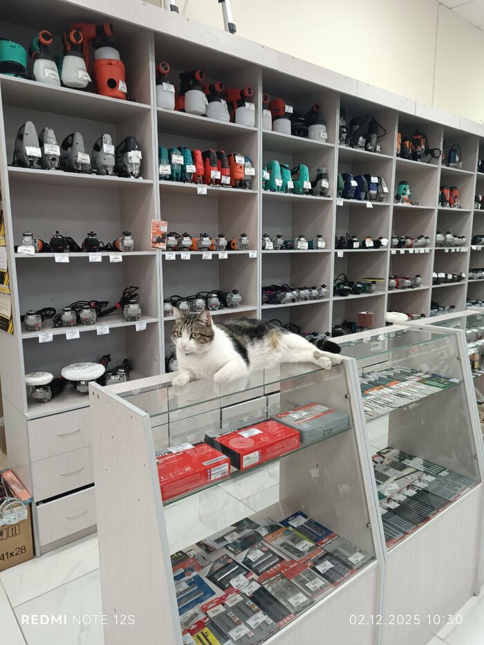 Опытный продавец