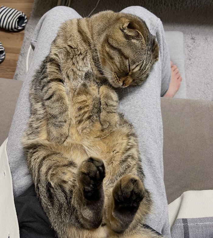 <!--noindex--><a href="https://pikabu.ru/story/luchshaya_rabota_v_mire_13496233?u=https%3A%2F%2Fx.com%2Fi%2Fstatus%2F1999799764976869475&t=https%3A%2F%2Fx.com%2Fi%2Fstatus%2F1999799764976869475&h=61f96836bd164c68e4a55ff413db498f77d43985" title="https://x.com/i/status/1999799764976869475" target="_blank" rel="nofollow noopener">https://x.com/i/status/1999799764976869475</a><!--/noindex-->