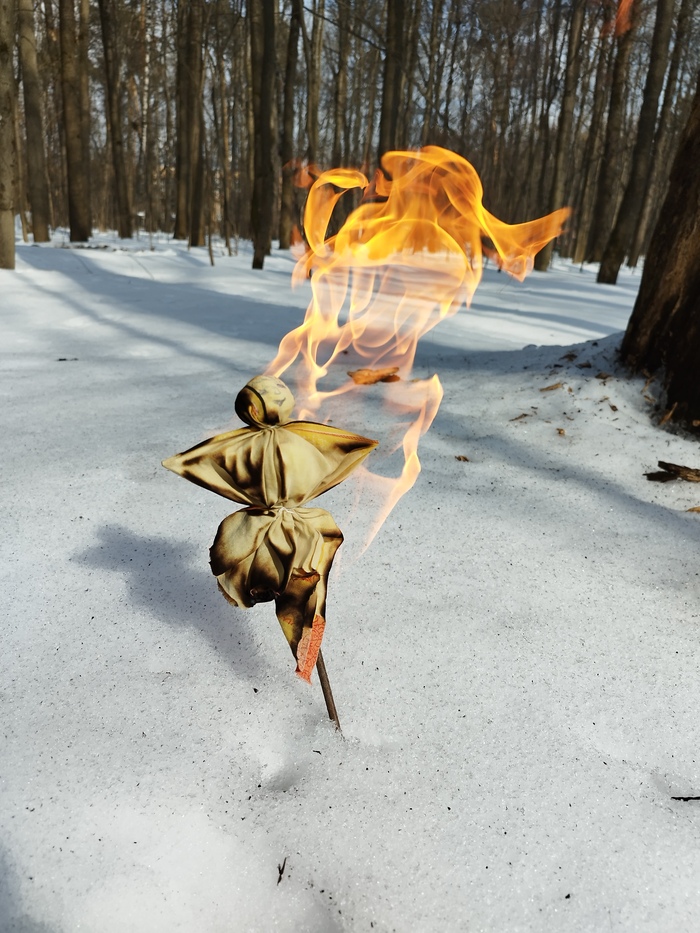 Мой лучший кадр 2025