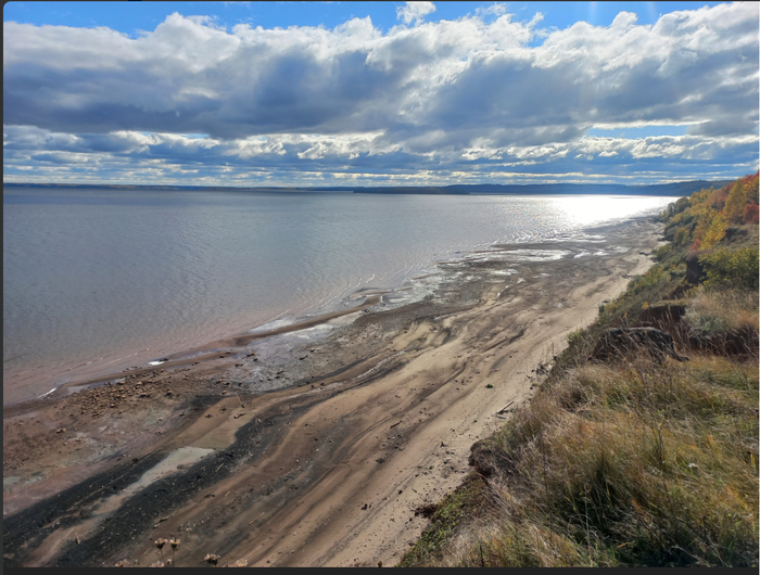 Один из лучших снимков в 2025