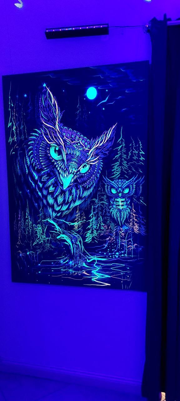 Моя лучшая фотография 2025