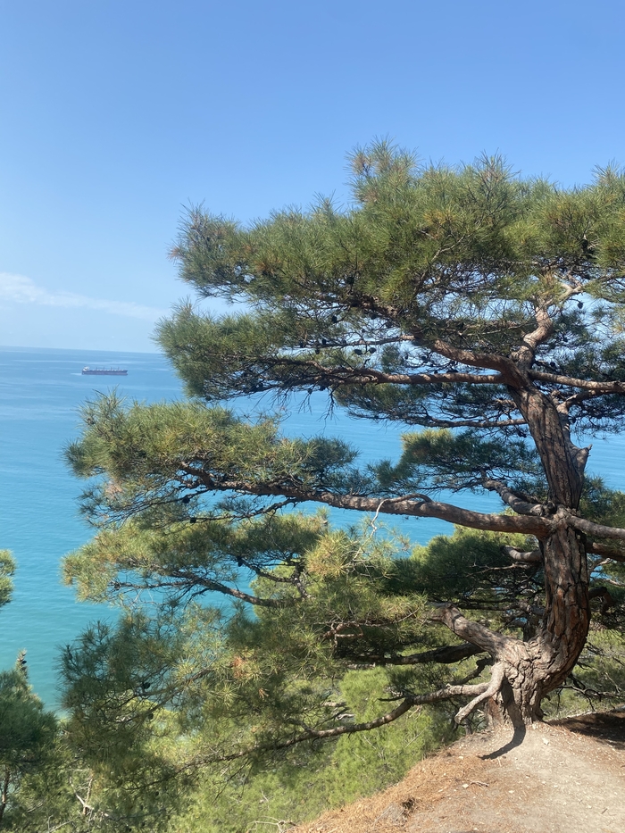 Ответ на пост «Лучший кадр 2025 года»