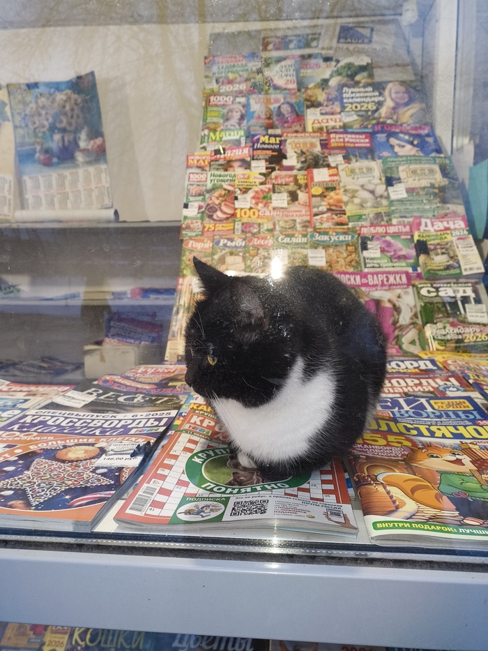 Проходил мимо газетного киоска, и заметил вот такого продавца!