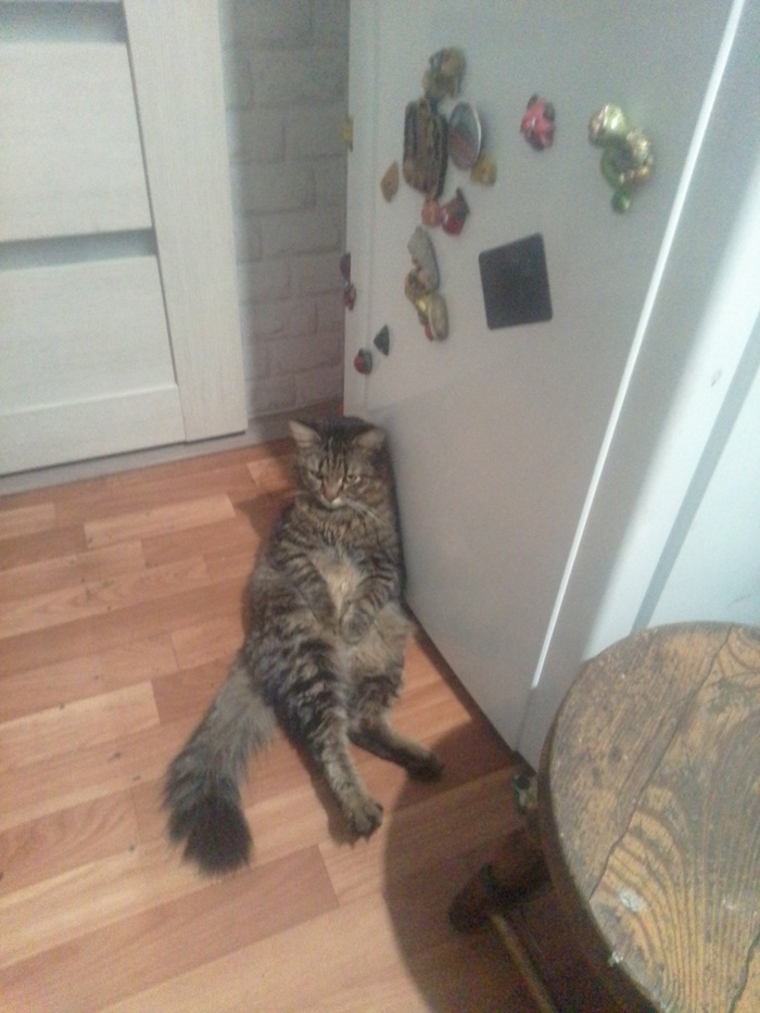 Охрана холодильника