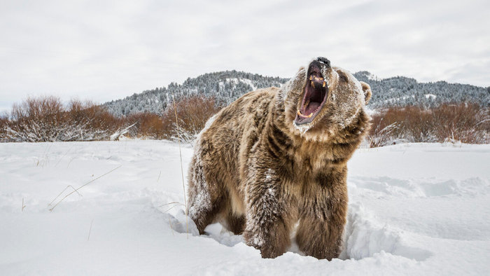 Фотографа класть сюда! Можно вместе с камерой!