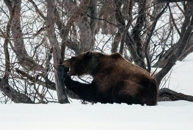 Когда пытаешься соблюдать диету и питаться «только правильной едой».