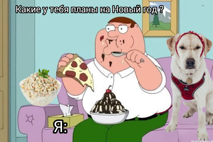 А какие у тебя планы на Новый год?
