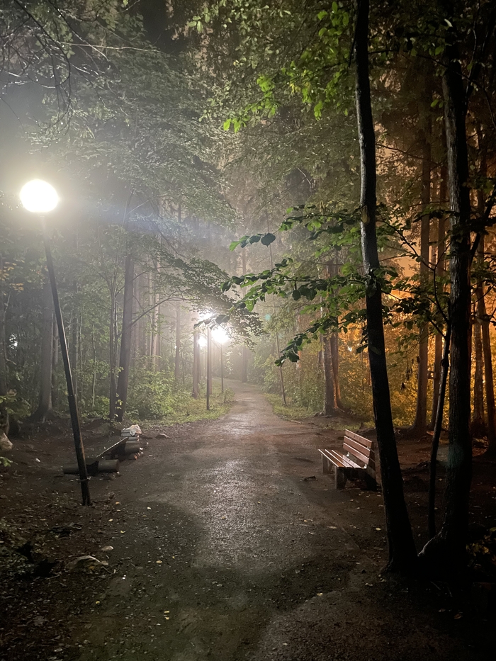 Ответ на пост «Лучший кадр 2025 года»