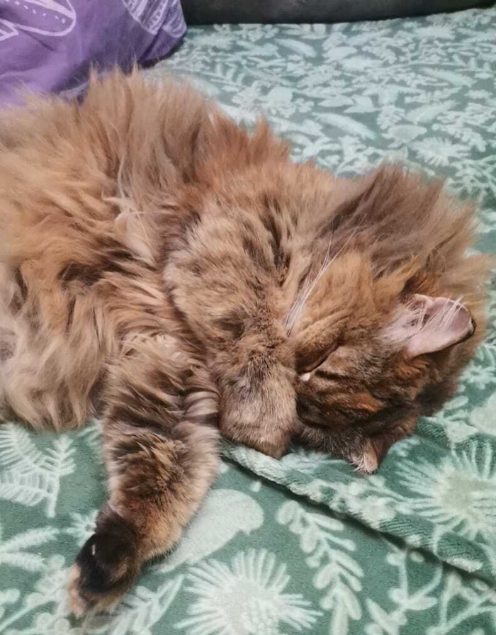 Да отстань ты, у тебя и так 40 Гбайт моих фото