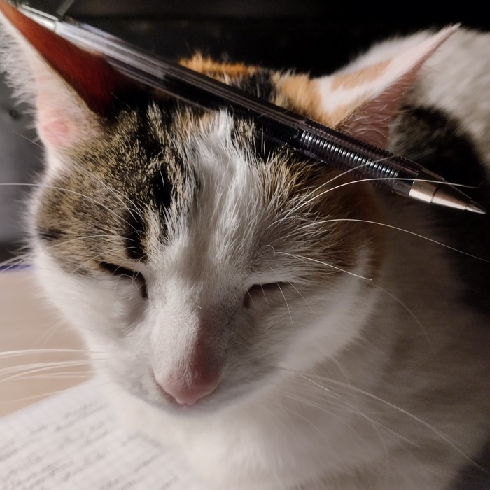 ����� �� ���� ���� ������ ���������� ����