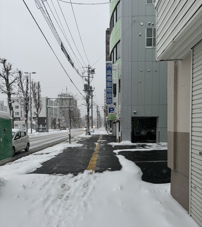 Тротуар перед вет.клиникой