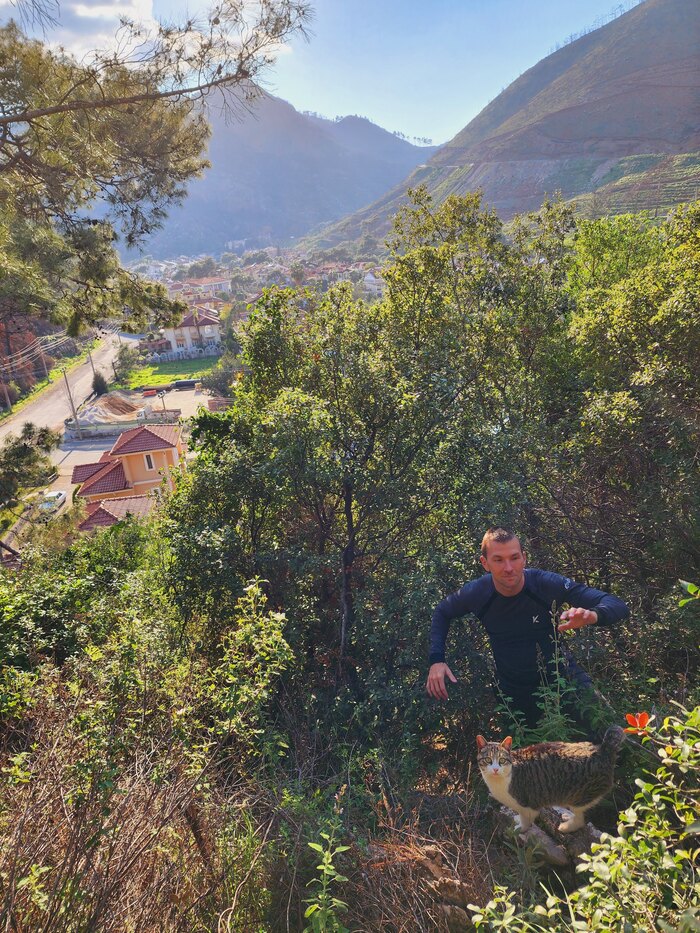 Причём обычно шла впереди показывая дорогу.