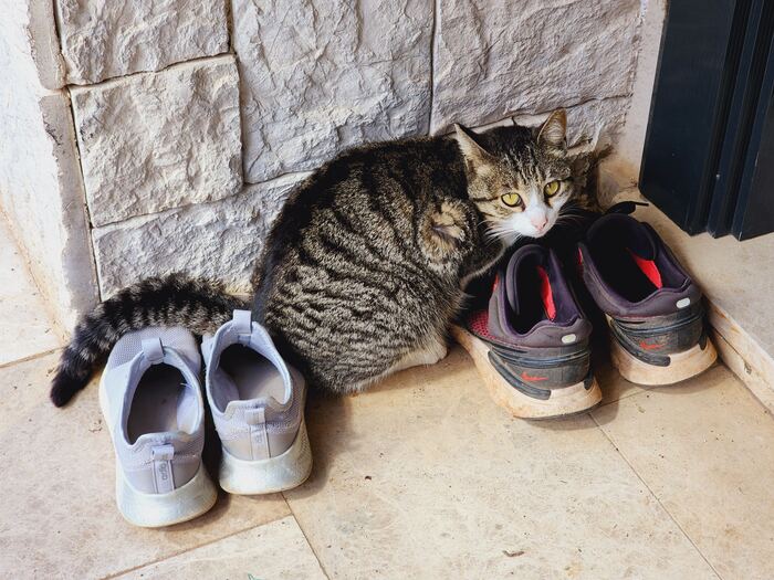 Контролировала, чтобы в обувь не залезали насекомые.