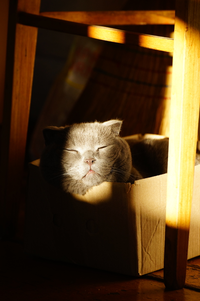 Что нужно человеку? Лучший кадр 2025