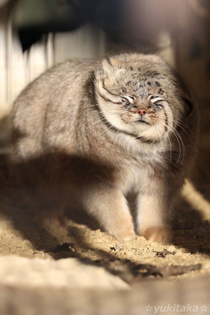 ���������� ������� ��� � ������ �� �������...