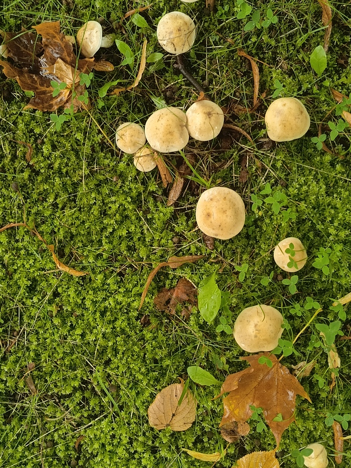 Ответ на пост «Лучший кадр 2025 года»