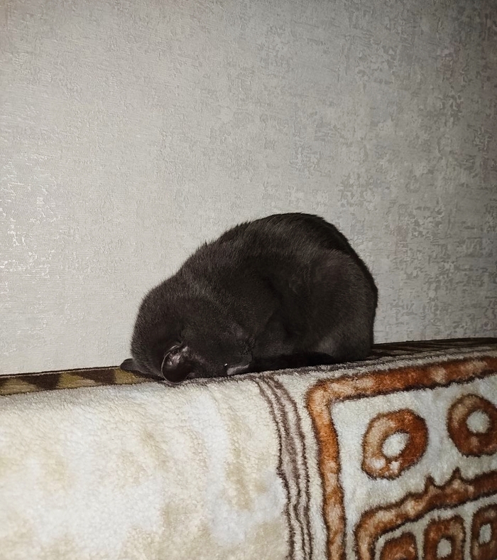 Устала..p.s. это все мы в конце рабочего дня, недели, года...p.p.s. или в понедельник;)