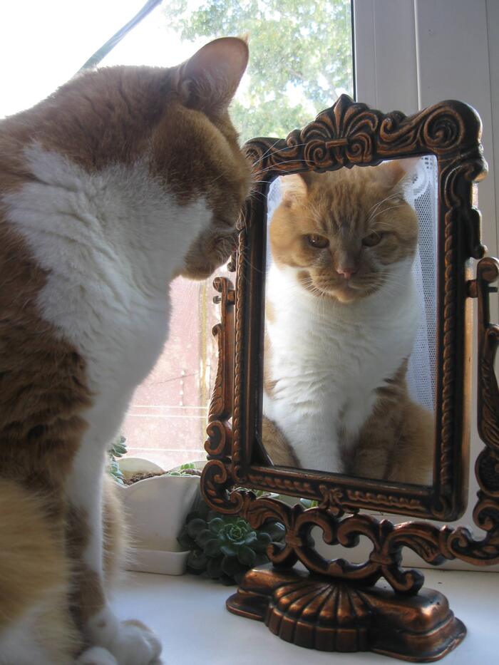 ����� �� ���� ���� ������ ���������� ����