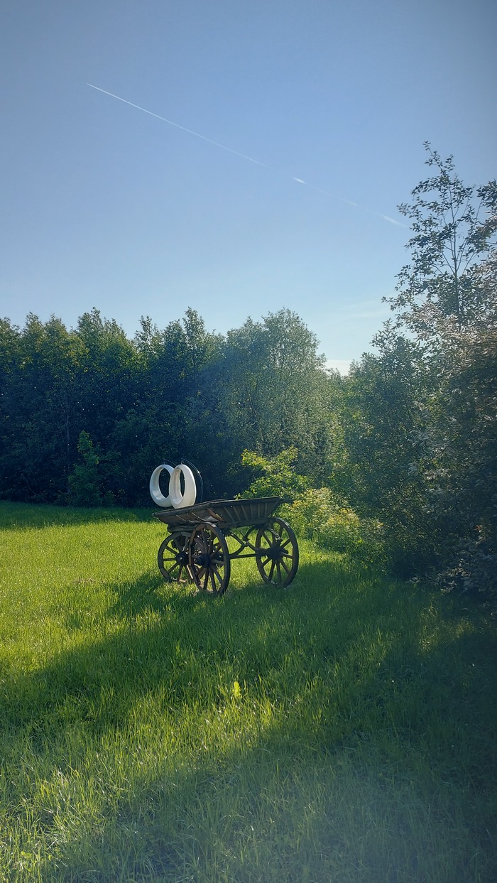 Мой лучший кадр 2025