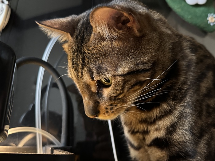 ������� ���������� ����� � ���������