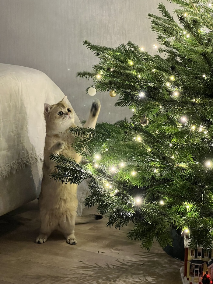 ����� �� ���� ���� ������ ���������� ����