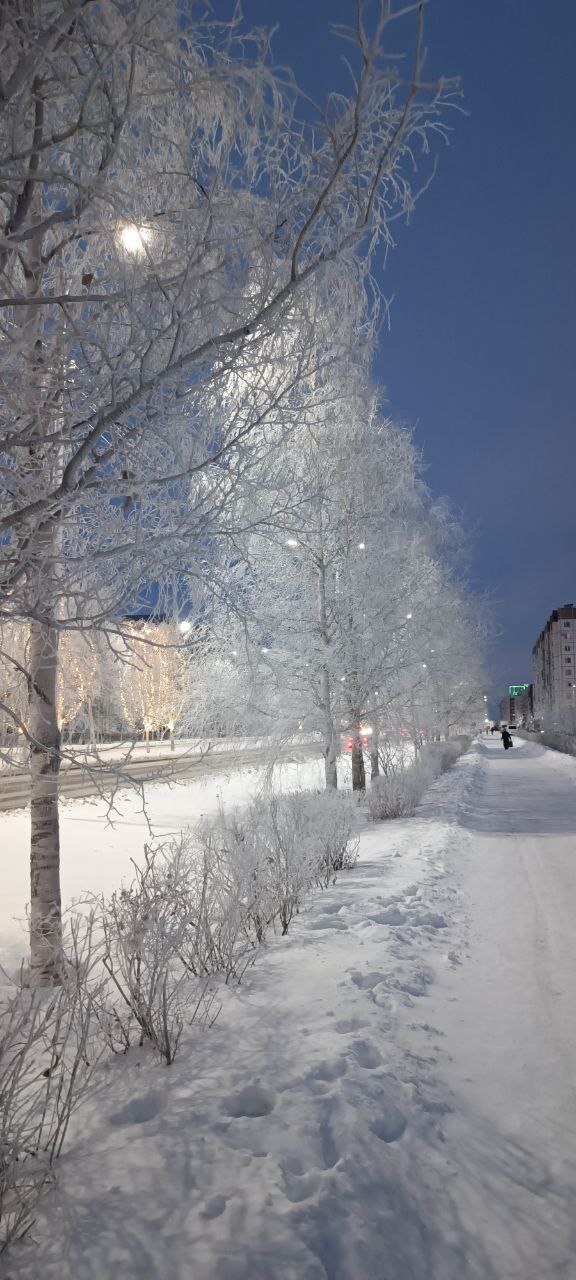 Ответ на пост «Лучший кадр 2025 года»