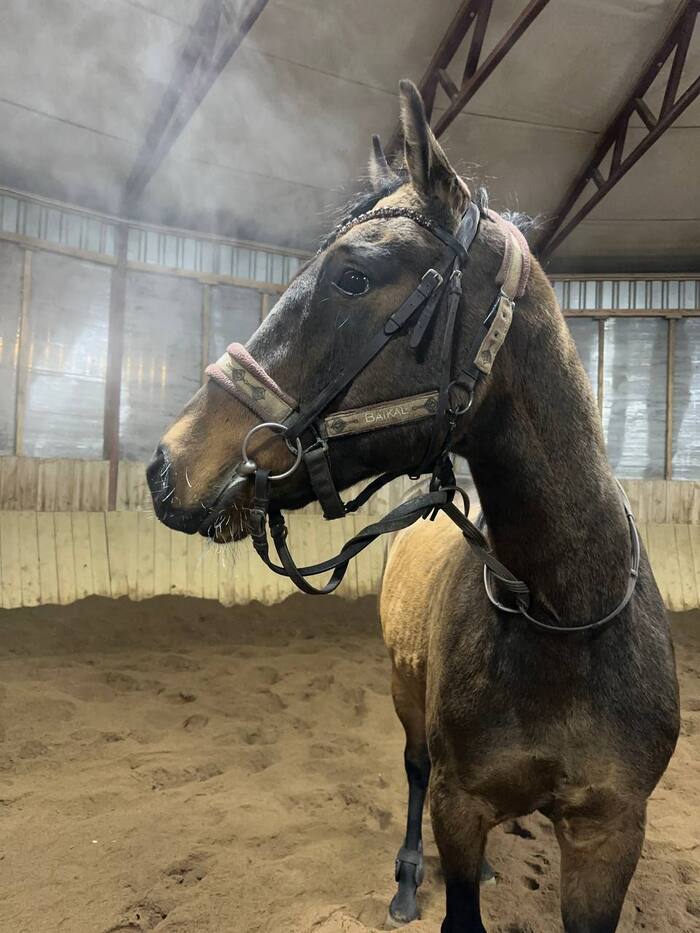 Вот и морозы пришли