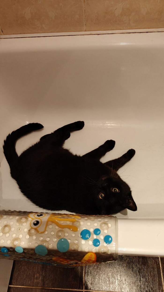 Вот так лежим.