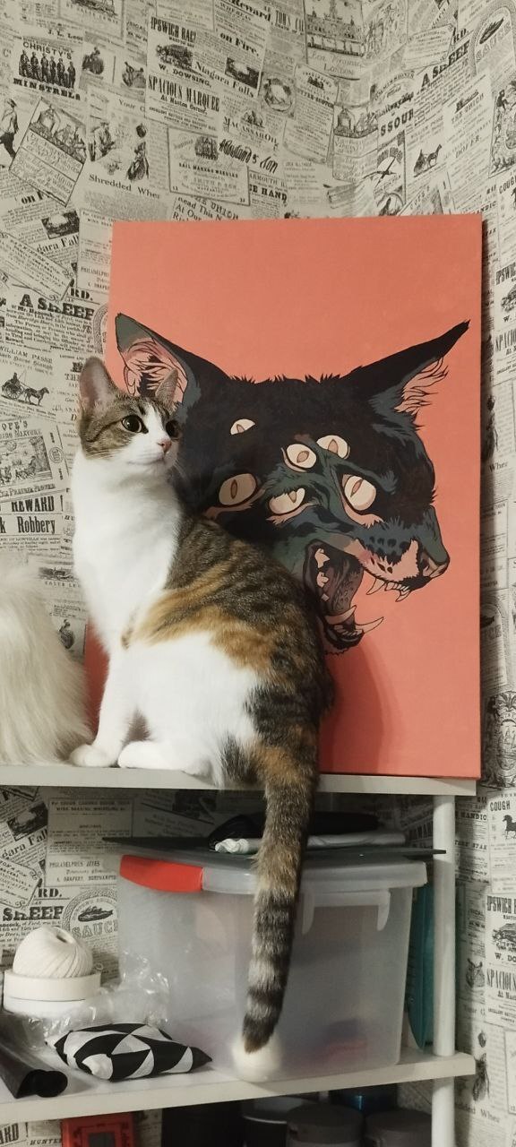 ��������