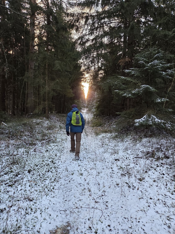 ������� ������