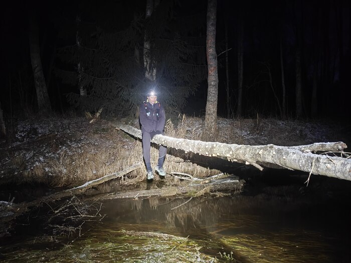 * ���� ������ ���������� �� �������������� ����