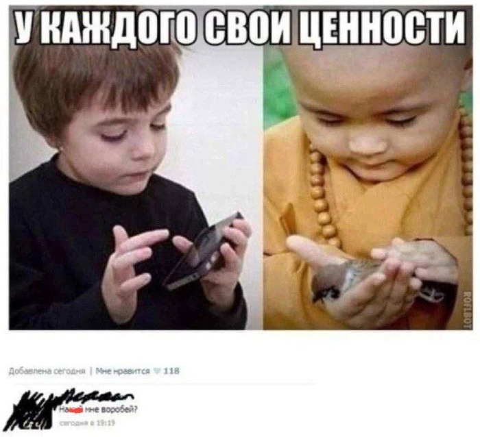 Скоро дети Австралии узнают, зачем им воробей