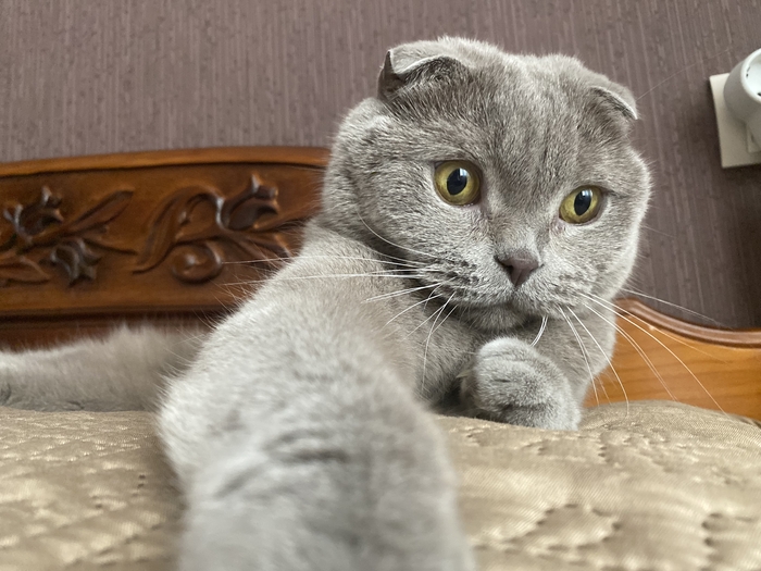 ���������