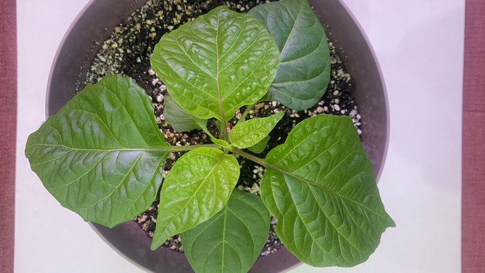 ����� � ����������