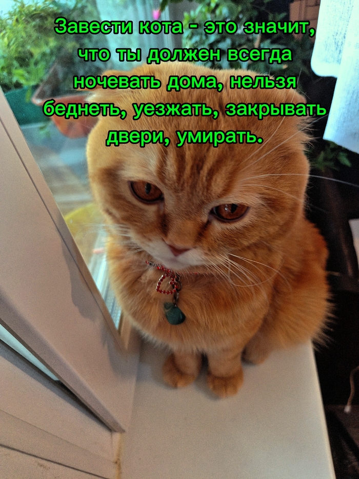 Ты теперь всегда под прицелом. Вы справляетесь с этим списком?