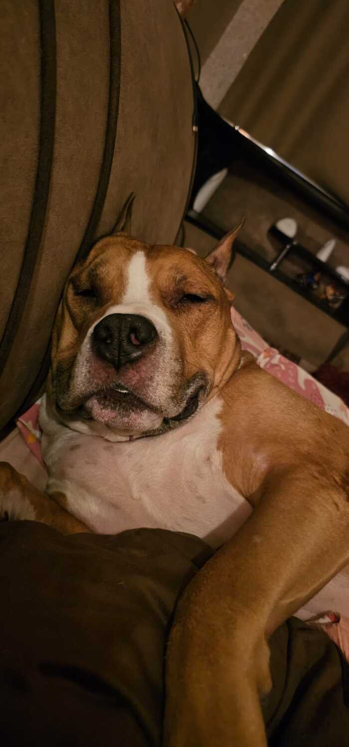 �����-�����, ��� �� ���� ������. � ��������� �������, ����������