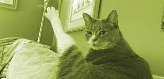 ����� �� ���� ��������� ������� � ���� ������ �� �����������, � ������