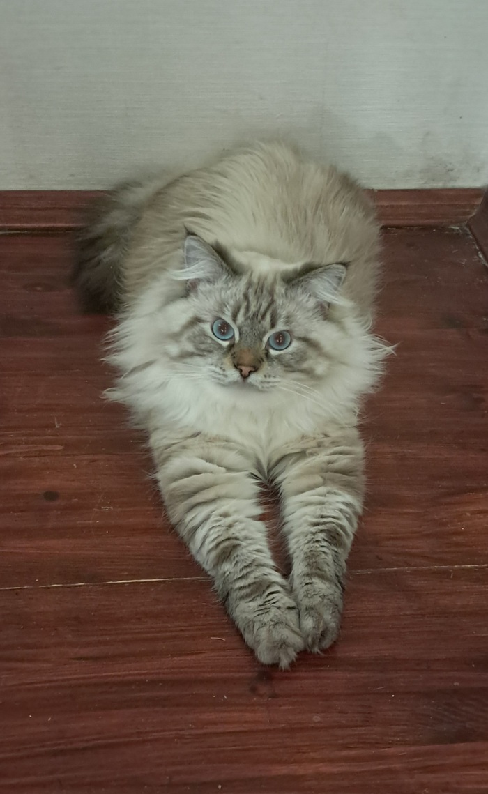 ����� �� ���� �������� �� 0 �� 10�