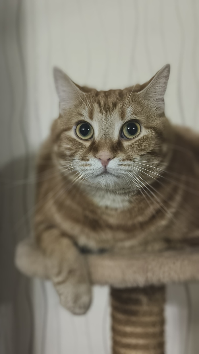 ����� �� ���� �������� �� 0 �� 10�