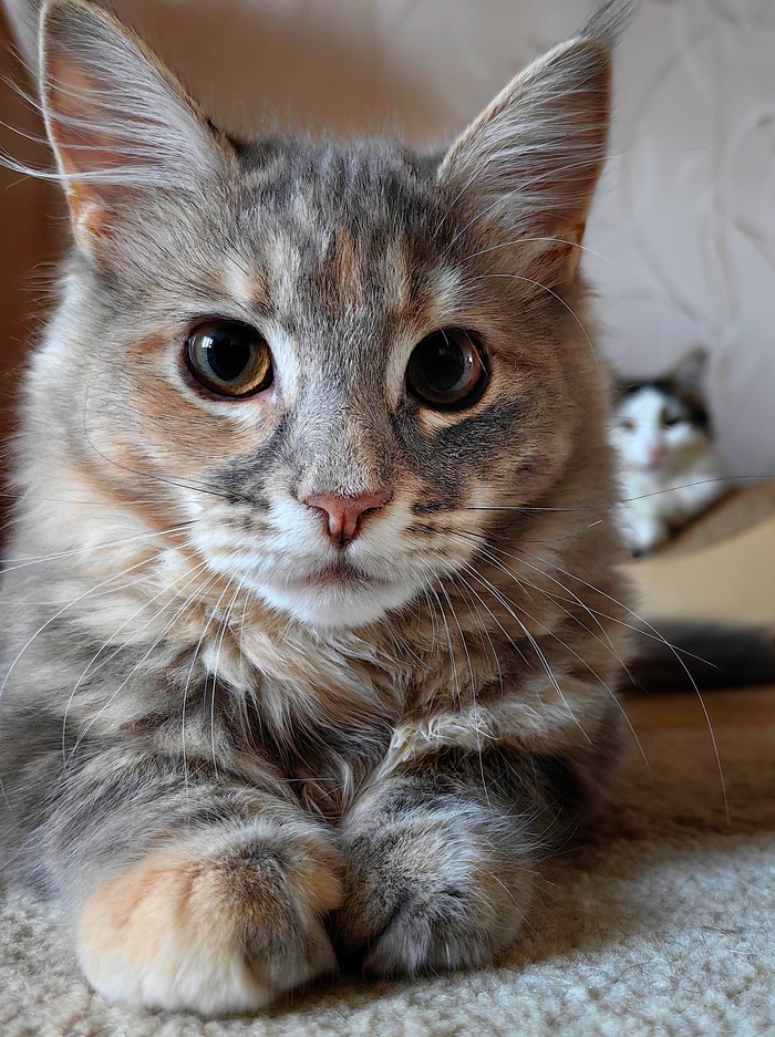 �������