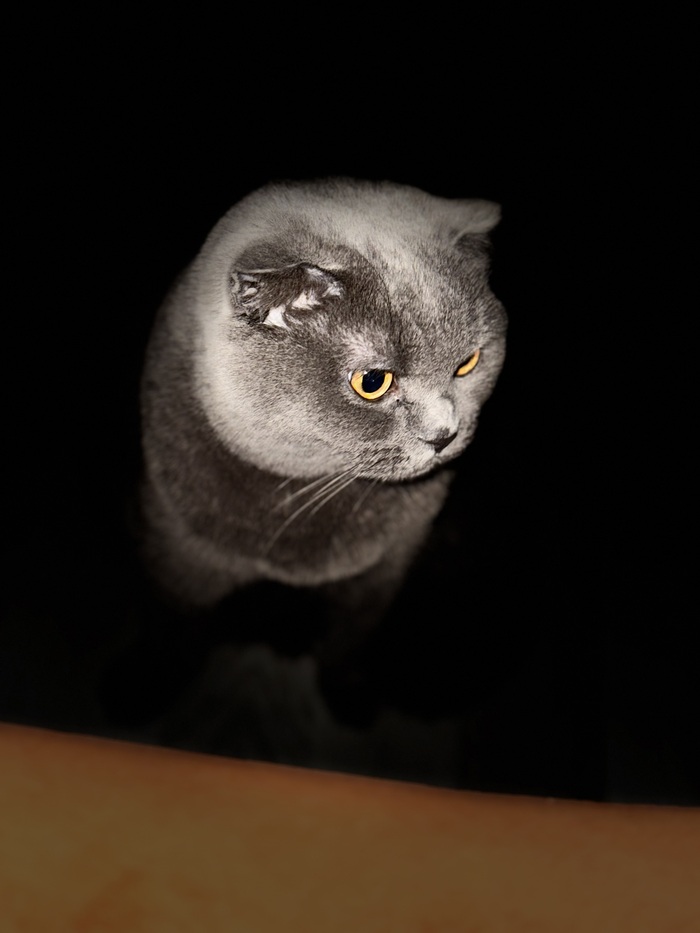 ��� ������ ���� 2025