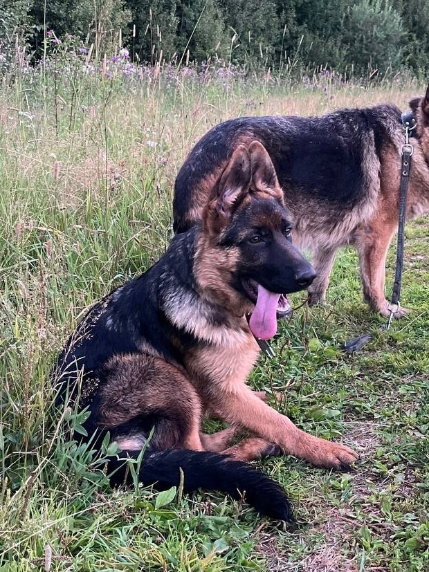 ���������� �������� �������