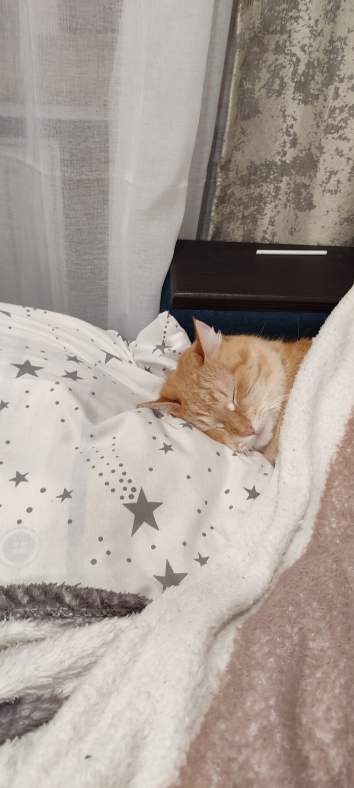 Спокойной ночи)