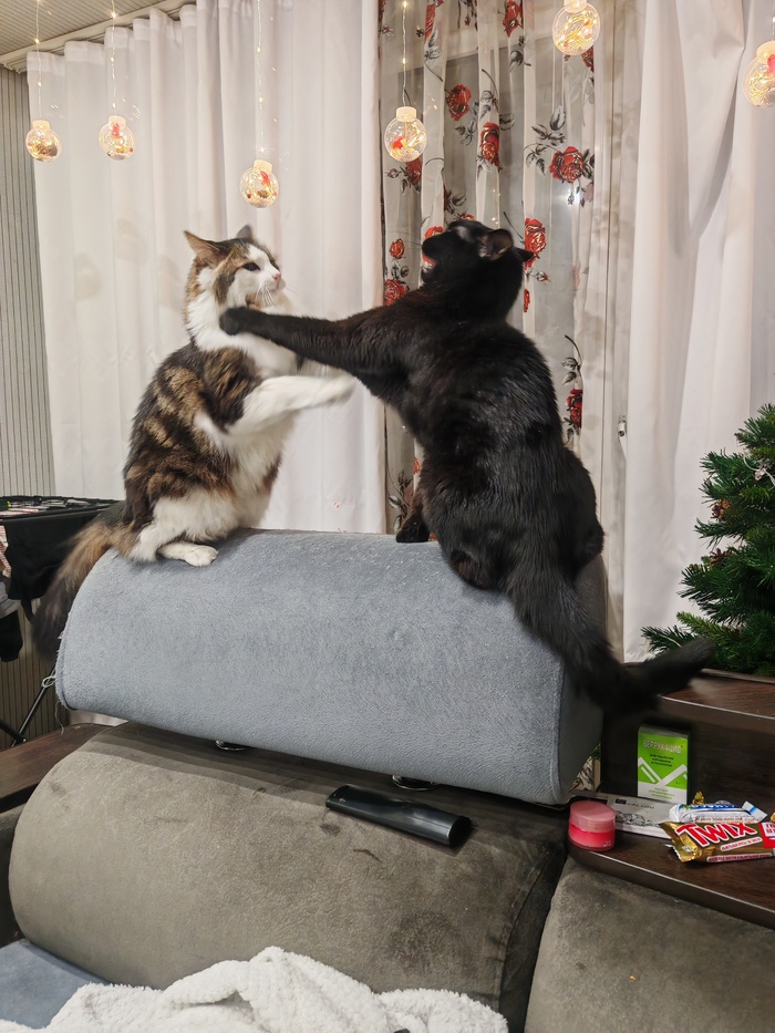 Моя лучшая фотография в этом году