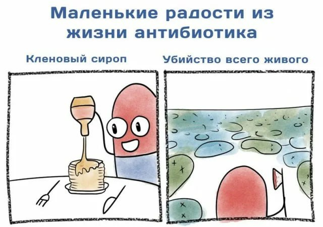 НОВЫЙ НООТРОП — ПРОБИОТИКИ УЛУЧШАЮТ ПАМЯТЬ