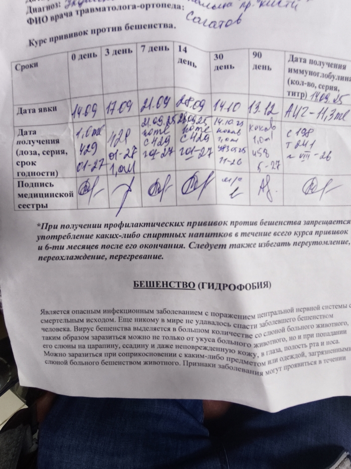 Осторожнее с белками. Финал