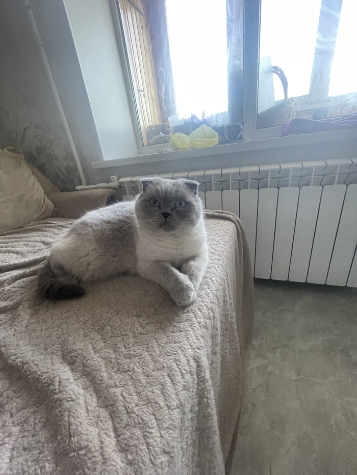 ����� �� ���� ���� ������ ���������� ����