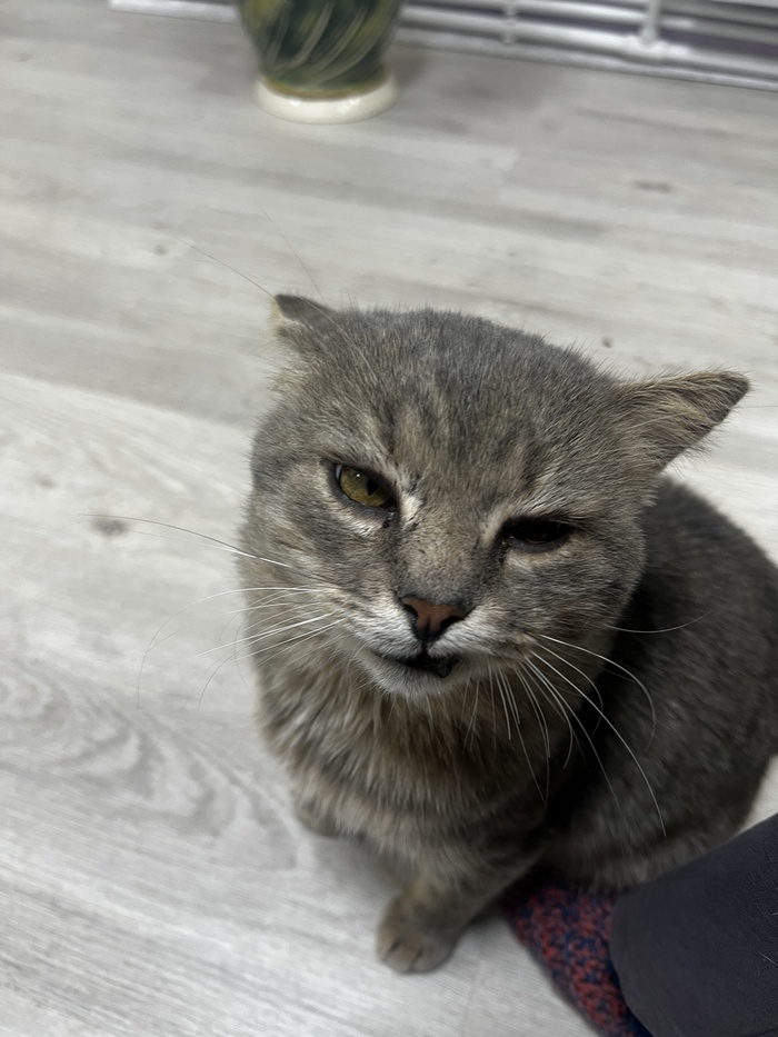 Не самое лучшее фото нашего кота