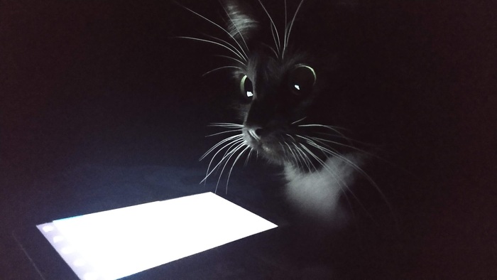 ����� �� ���� ������ �� ���� "��� ������ ���������� ����"�